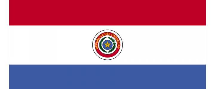 1. Paraguay-Benefiz-Turnier