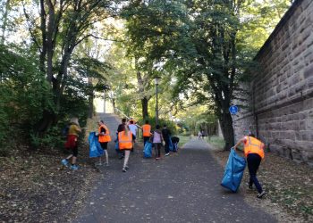 Plogging